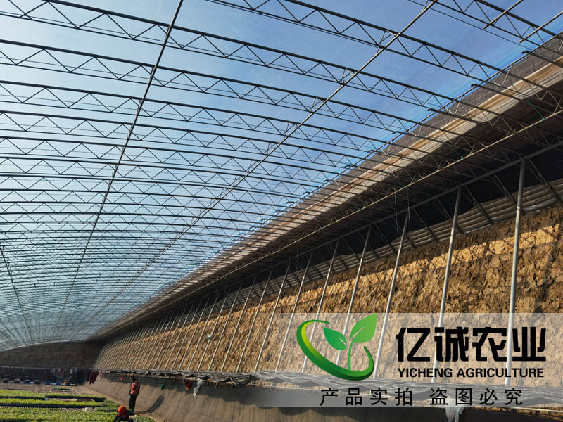 大跨度日光溫室建設