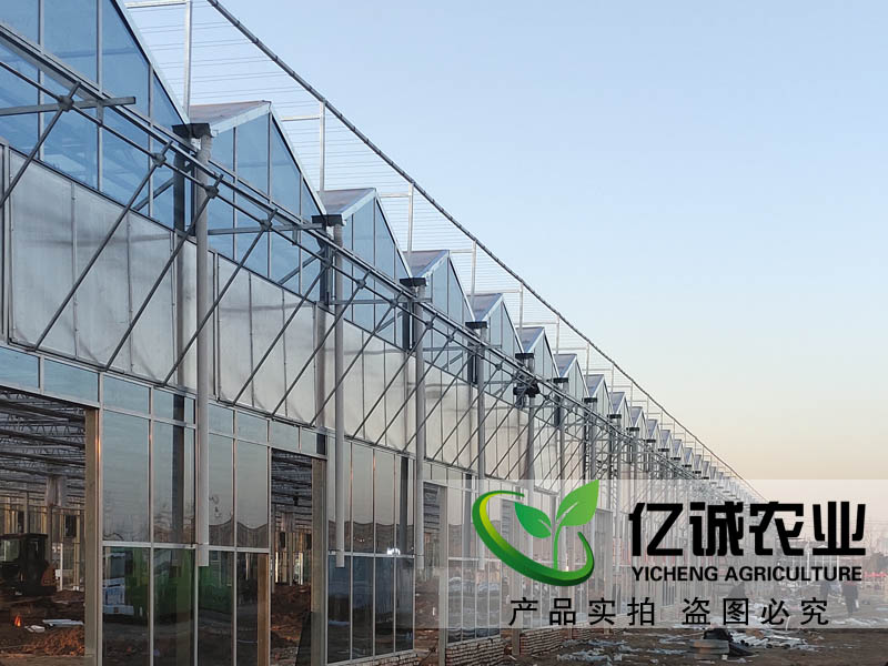 玻璃溫室大棚建設